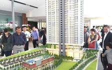 Nhà giá rẻ vào cuộc cạnh tranh