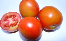 Ích lợi của cà chua