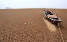 Sự lộng hành của 'mafia cát': Thảm họa môi trường