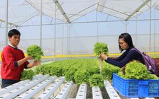 Thanh niên khởi nghiệp đổi mới sáng tạo