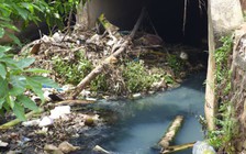 Người dân đòi truy tìm nguồn nước thải ô nhiễm