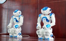 'Giảng viên' robot