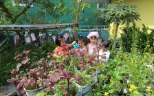 Phòng ngừa cây xanh độc hại trong trường học