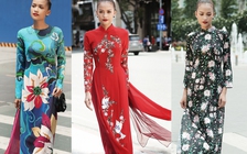 Đa sắc áo dài xuống phố