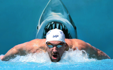 Huyền thoại bơi lội Mỹ Michael Phelps bơi đua với cá mập trắng