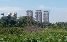 Kiểm soát đầu nậu núp bóng người dân để tách thửa