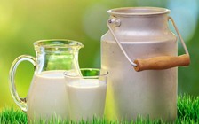 Lợi ích của sữa dê