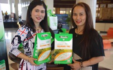 Về quê trồng lúa sạch