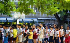 Thi hay không thi vào lớp 6?