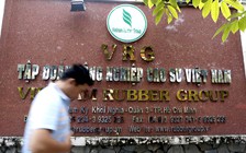 Yêu cầu báo cáo kết quả xử lý sau thanh tra tại Tập đoàn công nghiệp cao su VN