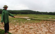 Nhà máy thi công, dân mất ruộng