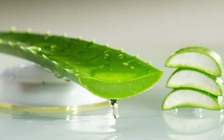 5 cách đơn giản chữa ho khan tại nhà