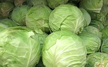 7 lợi ích bất ngờ của nước bắp cải