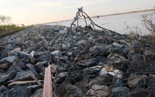 Trên 4.000 nắp rọ bị trộm khi qua luồng Quan Chánh Bố