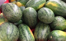 Dưa hấu giảm giá sốc