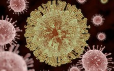 Vi rút Zika có thể giúp cứu sống bệnh nhi u não