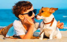 Lớn lên nơi đồng quê giúp bạn có hệ miễn dịch và tinh thần tốt hơn