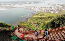 Đâu chỉ khách Trung Quốc