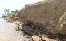 Khai thác cát trộm phá bờ sông Thu Bồn