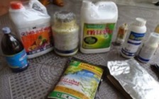 Nghi vấn 14 tấn sầu riêng ngâm hóa chất trước khi bán