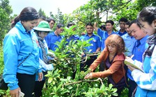 Kết nối... vùng cao