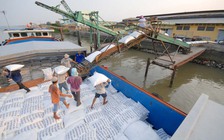 'Cởi trói' xuất khẩu gạo