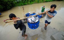 Phát triển bền vững cho ngành hàng cá tra