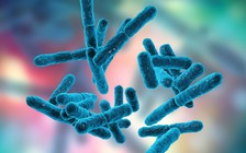 Lợi ích tuyệt vời của lợi khuẩn có thể bạn chưa biết