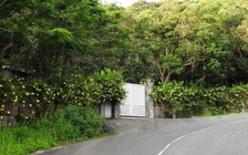 Chuyển hồ sơ dự án của Vũ 'nhôm' ở Sơn Trà qua Bộ Công an