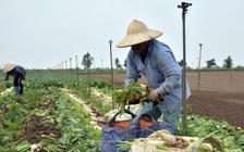 Đặc biệt trên báo in ngày 4.10.2018