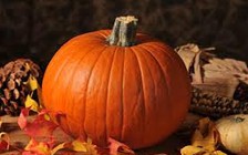 Bí ngô giúp tim khỏe ngay cả đối với người béo phì