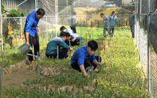 Vườn ươm của tình thương