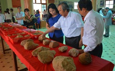 'Điểm nóng' An Khê trong giới khảo cổ thế giới