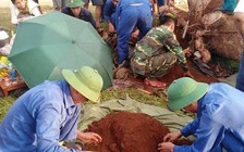 Bộ hài cốt liệt sĩ dưới gốc cây xà cừ