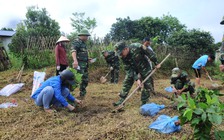 Báo Thanh Niên và Đồn biên phòng Pò Hèn trồng cây tri ân