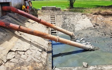 Nông nghiệp Quảng Trị héo hon vì hạn