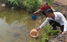 Gần 100 hộ dân TP.Hạ Long phải sử dụng nước bẩn