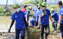 Những công trình vì cộng đồng