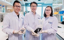 Điện thoại thông minh có thể phát hiện tảo gây hại trong nước