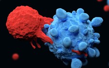 Những cách tự nhiên giúp ngăn ngừa ung thư, bạn chớ bỏ qua!