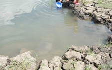 Khẩn trương ứng phó xâm nhập mặn