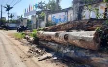 Từ đơn thư bạn đọc: Xưởng cưa nằm bên cạnh trường mầm non