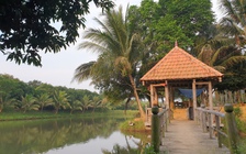 Giám đốc lâm trường chiếm đất rừng chỉ bị yêu cầu... rút kinh nghiệm