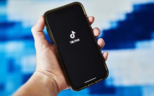 TikTok giả lan rộng khắp Ấn Độ