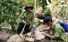 Điều tra vụ hạt trưởng kiểm lâm cùng 2 con bị 'dọa giết'