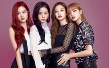 BlackPink kỷ niệm 4 năm thành lập nhóm