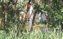 TP.HCM: Điều tra vụ người đàn ông chết trong tư thế treo cổ trên cây