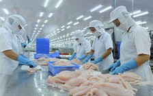 Kiểm tra công tác đảm bảo an toàn thực phẩm tại Bình Định
