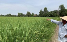 “Tạm ứng” giá bèo... rồi biến đất sang kinh doanh thương mại ?