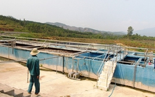 Gây áp lực với trại heo ô nhiễm